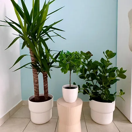 Spacious Soho Gem - Center - Free Parking Budapest